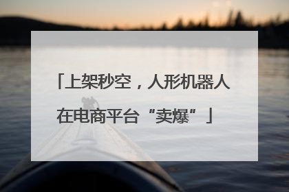 上架秒空，人形机器人在电商平台“卖爆”