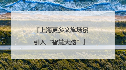 上海更多文旅场景引入“智慧大脑”