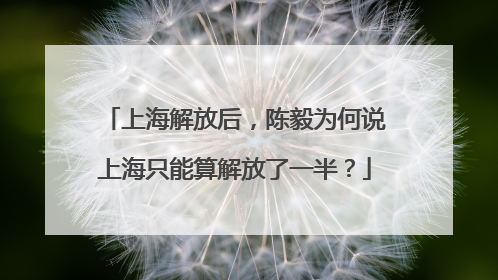 上海解放后，陈毅为何说上海只能算解放了一半？