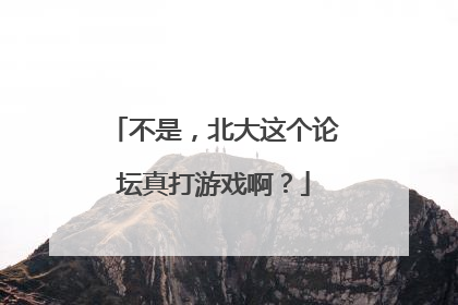 不是，北大这个论坛真打游戏啊？