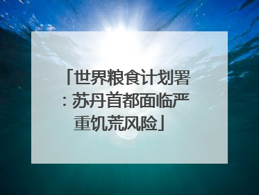 世界粮食计划署：苏丹首都面临严重饥荒风险