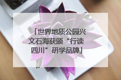 世界地质公园兴文石海获颁“行读四川”研学品牌