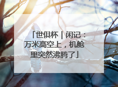 世俱杯｜闲记：万米高空上，机舱里突然沸腾了