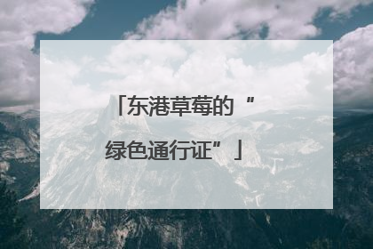 东港草莓的“绿色通行证”