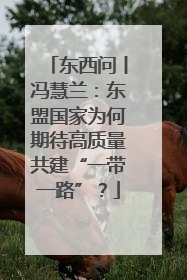 东西问丨冯慧兰：东盟国家为何期待高质量共建“一带一路”？