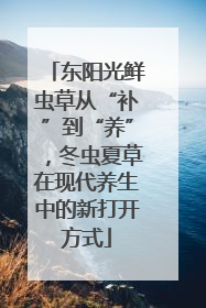 东阳光鲜虫草从“补”到“养”，冬虫夏草在现代养生中的新打开方式