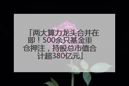 两大算力龙头合并在即！500余只基金重仓押注，持股总市值合计超380亿元