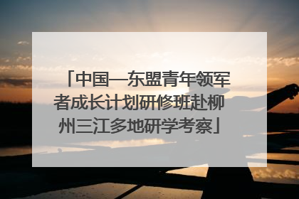 中国—东盟青年领军者成长计划研修班赴柳州三江多地研学考察