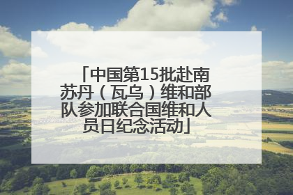 中国第15批赴南苏丹（瓦乌）维和部队参加联合国维和人员日纪念活动