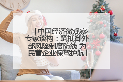 中国经济微观察·专家谈构：筑抵御外部风险制度防线 为民营企业保驾护航