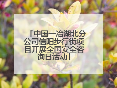 中国一冶湖北分公司信阳步行街项目开展全国安全咨询日活动
