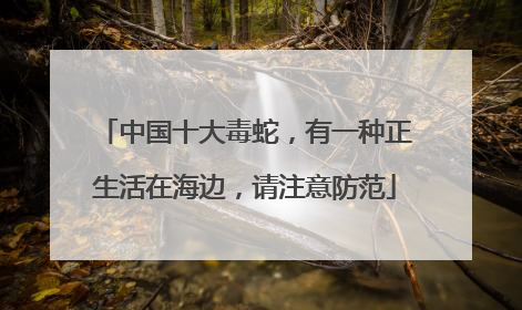 中国十大毒蛇，有一种正生活在海边，请注意防范