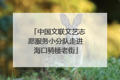中国文联文艺志愿服务小分队走进海口骑楼老街