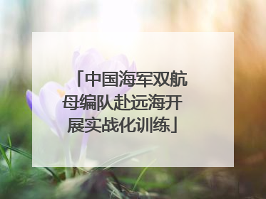 中国海军双航母编队赴远海开展实战化训练