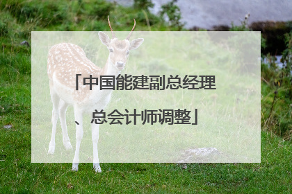 中国能建副总经理、总会计师调整