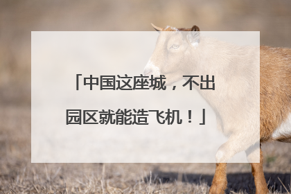 中国这座城，不出园区就能造飞机！