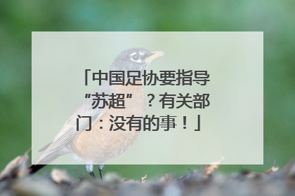 中国足协要指导“苏超”？有关部门：没有的事！