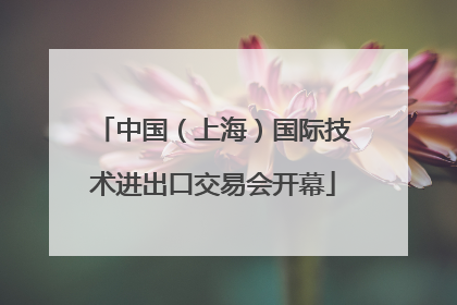 中国（上海）国际技术进出口交易会开幕