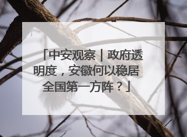 中安观察｜政府透明度，安徽何以稳居全国第一方阵？