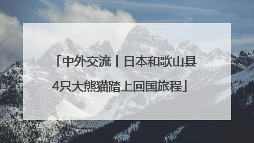中外交流丨日本和歌山县4只大熊猫踏上回国旅程
