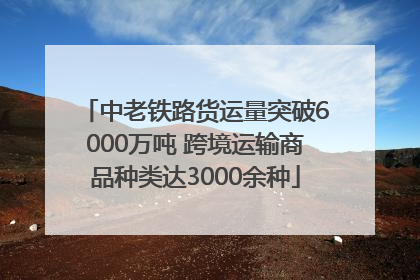 中老铁路货运量突破6000万吨 跨境运输商品种类达3000余种