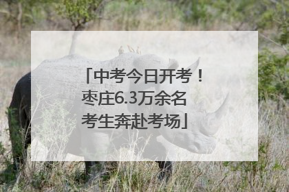 中考今日开考！枣庄6.3万余名考生奔赴考场