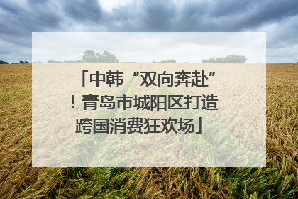 中韩“双向奔赴”！青岛市城阳区打造跨国消费狂欢场