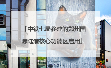 中铁七局参建的郑州国际陆港核心功能区启用