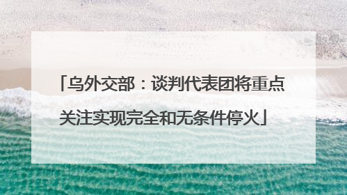 乌外交部：谈判代表团将重点关注实现完全和无条件停火