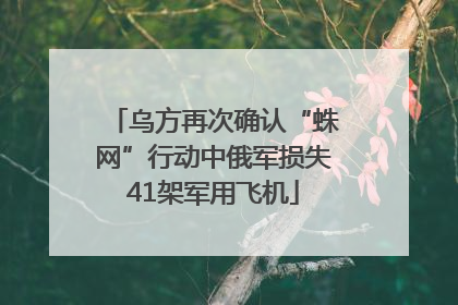 乌方再次确认“蛛网”行动中俄军损失41架军用飞机