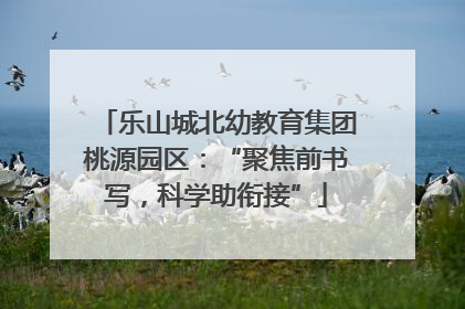 乐山城北幼教育集团桃源园区：“聚焦前书写，科学助衔接”