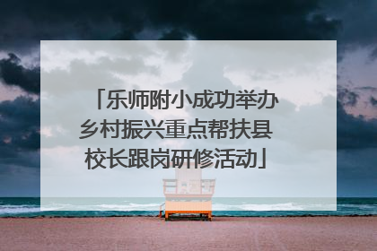 乐师附小成功举办乡村振兴重点帮扶县校长跟岗研修活动