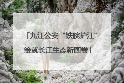 九江公安“铁腕护江”绘就长江生态新画卷