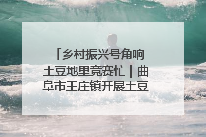 乡村振兴号角响 土豆地里竞赛忙｜曲阜市王庄镇开展土豆收获劳动竞赛