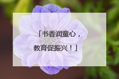 书香润童心，教育促振兴！