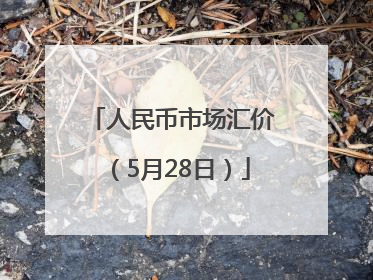 人民币市场汇价（5月28日）