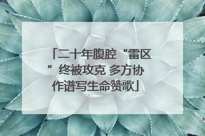 二十年腹腔“雷区”终被攻克 多方协作谱写生命赞歌