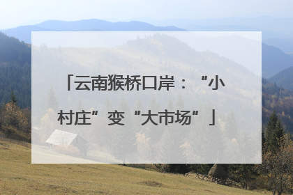 云南猴桥口岸：“小村庄”变“大市场”