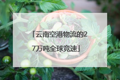 云南空港物流的27万吨全球竞速