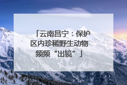 云南昌宁：保护区内珍稀野生动物频频“出镜”