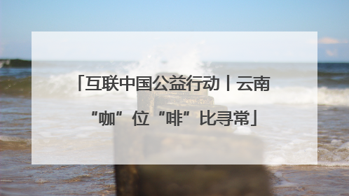 互联中国公益行动丨云南“咖”位“啡”比寻常