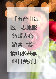 五台山景区：志愿服务暖人心 游客“粽”情山水共享假日美好