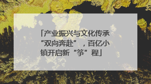 产业振兴与文化传承“双向奔赴”，百亿小镇开启新“筝”程