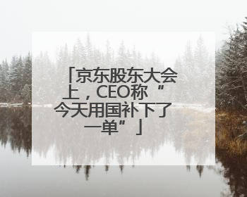 京东股东大会上，CEO称“今天用国补下了一单”