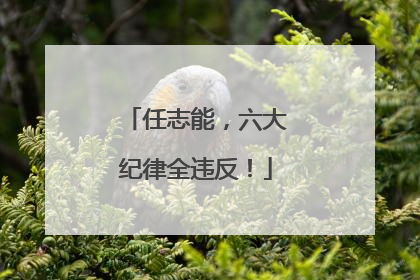 任志能，六大纪律全违反！