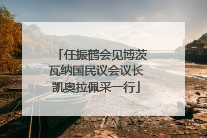 任振鹤会见博茨瓦纳国民议会议长凯奥拉佩采一行
