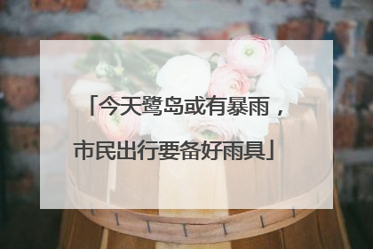 今天鹭岛或有暴雨，市民出行要备好雨具