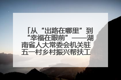 从“出路在哪里”到“幸福在眼前”——湖南省人大常委会机关驻五一村乡村振兴帮扶工作队书写振兴答卷