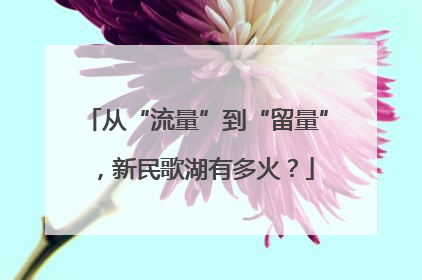 从“流量”到“留量”，新民歌湖有多火？