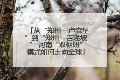 从“郑州—卢森堡”到“郑州—吉隆坡” 河南“双枢纽”模式如何走向全球